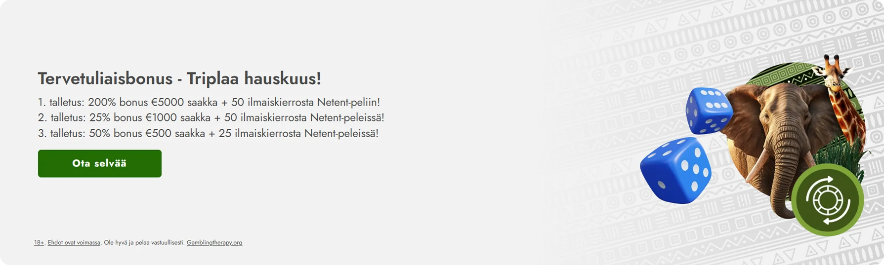 Kuvaussivu Pay N Play -kasinon tervetuliaisbonuksesta ja sen ehdoista.